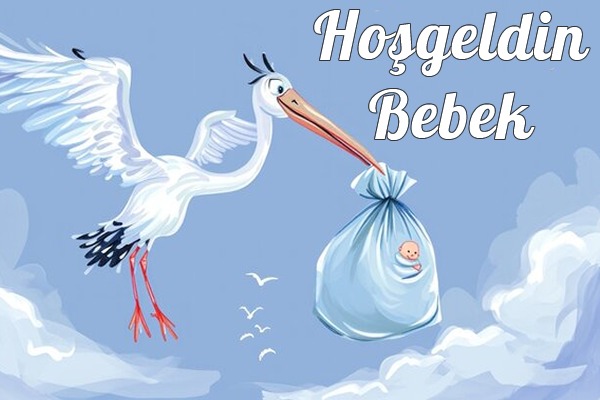 Bebek ve Doğum Çiçekleri Kategorisi
