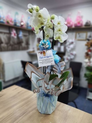  Erkek Bebek İçin çift dal beyaz orkide