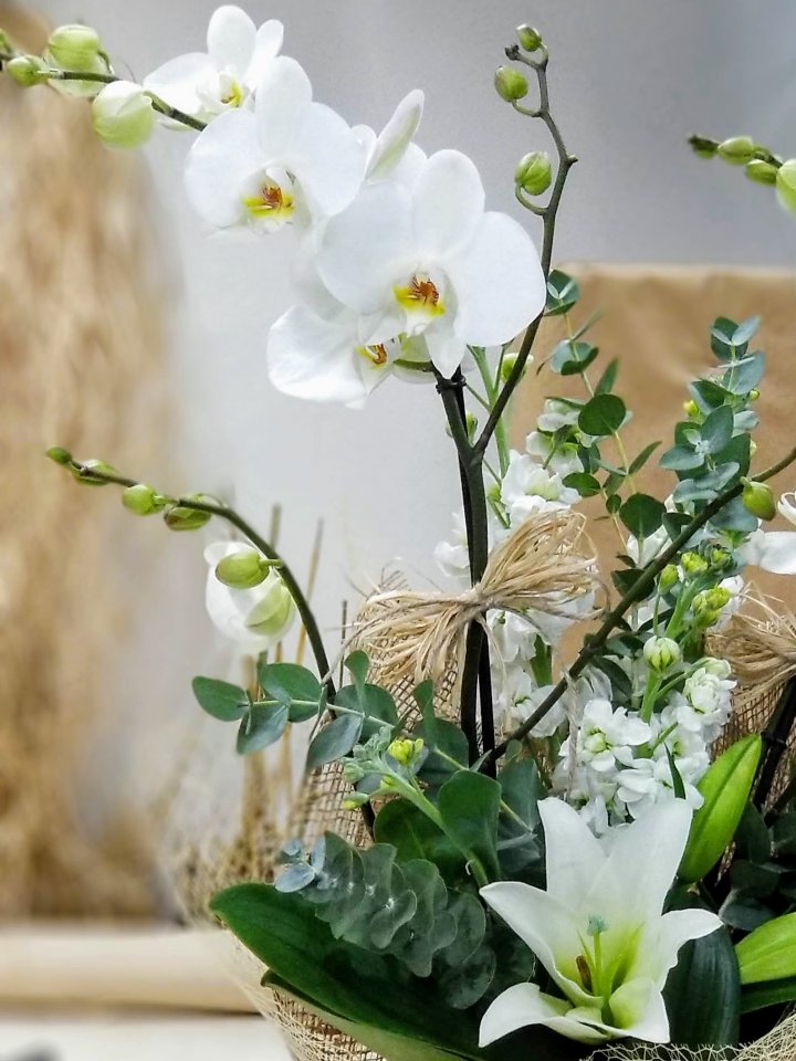 Bilecik Çiçekçi Beyaz Lilyum ve Orkide