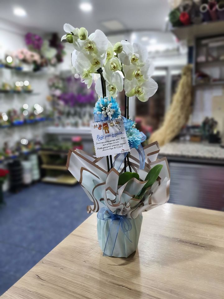  Erkek Bebek İçin çift dal beyaz orkide