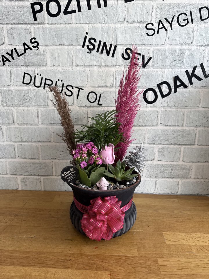 TOPRAK SAKSIDA ŞAMODORA, KALONŞA ve SUKULENT ARANJMANI