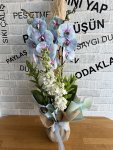 Çiçekçi - Mavi Orkide