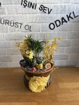 Çiçekçi - DEKORATİF SAKSIDA ŞAMODORA, KALONŞA ve SUKULENT ARANJMANII
